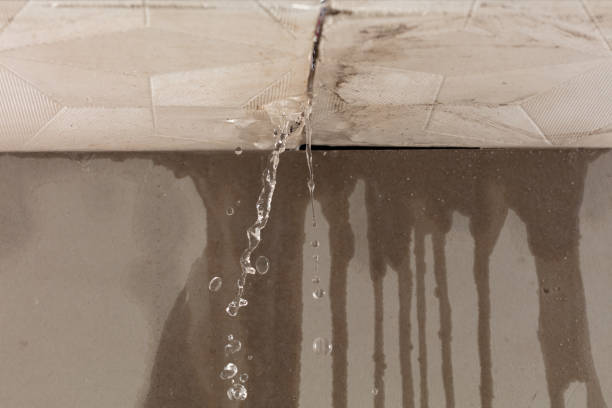 Professional Structural Drying technician working in Osceola, AR